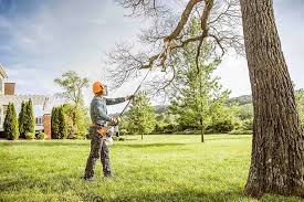  Brookside, NJ Tree Services Pros