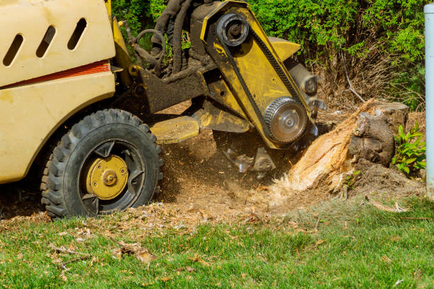 Best Grass Overseeding  in Brookside, NJ