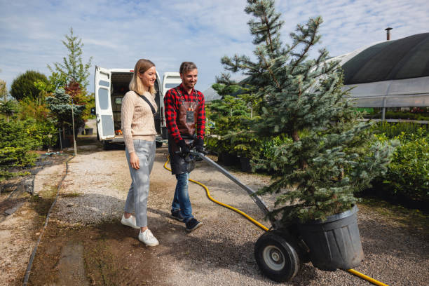 Best Tree Trimming and Pruning  in Brookside, NJ